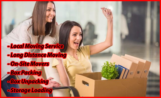 Packers And Movers Noida Sector 56